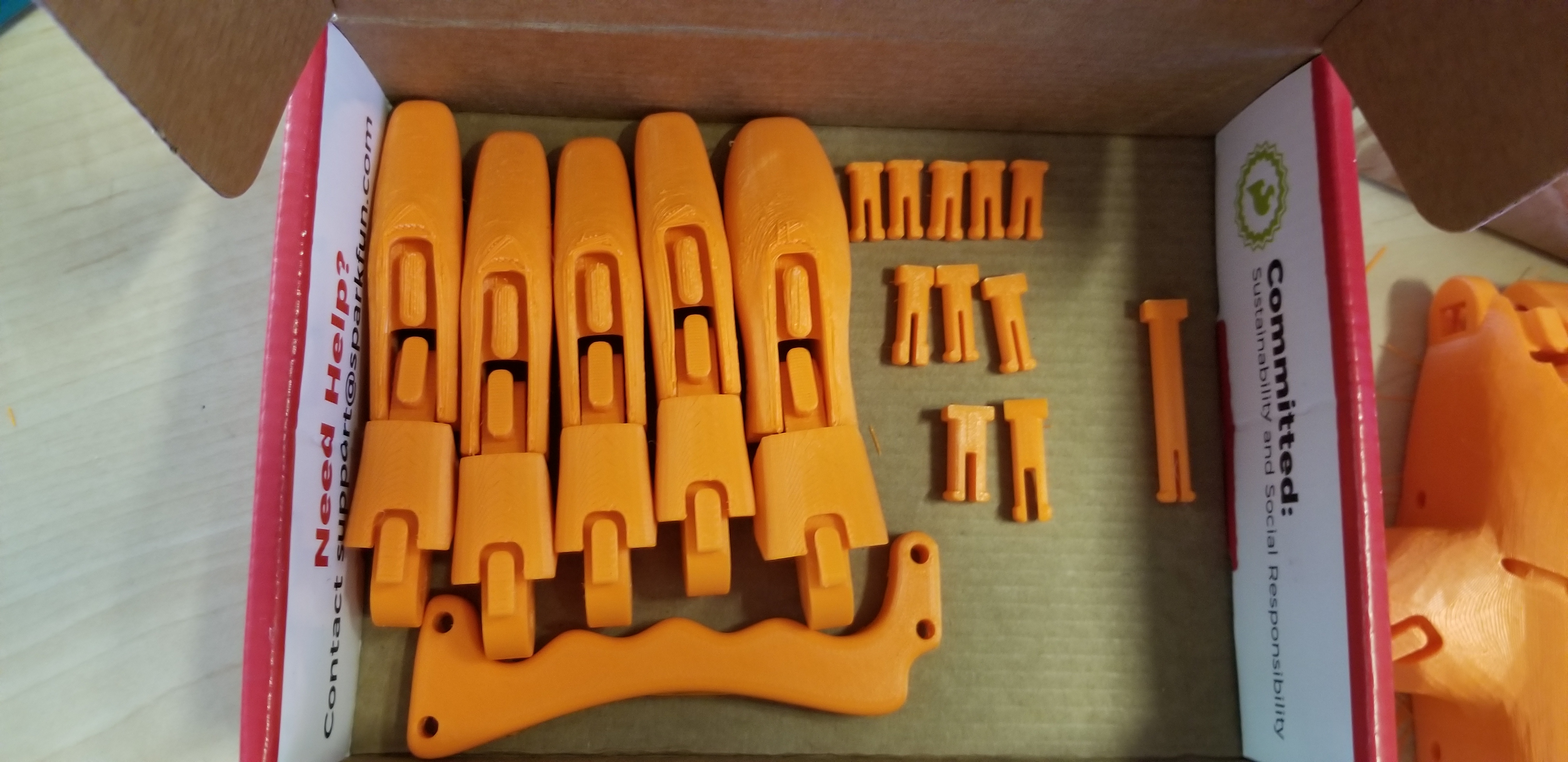 Prosthetic Hand